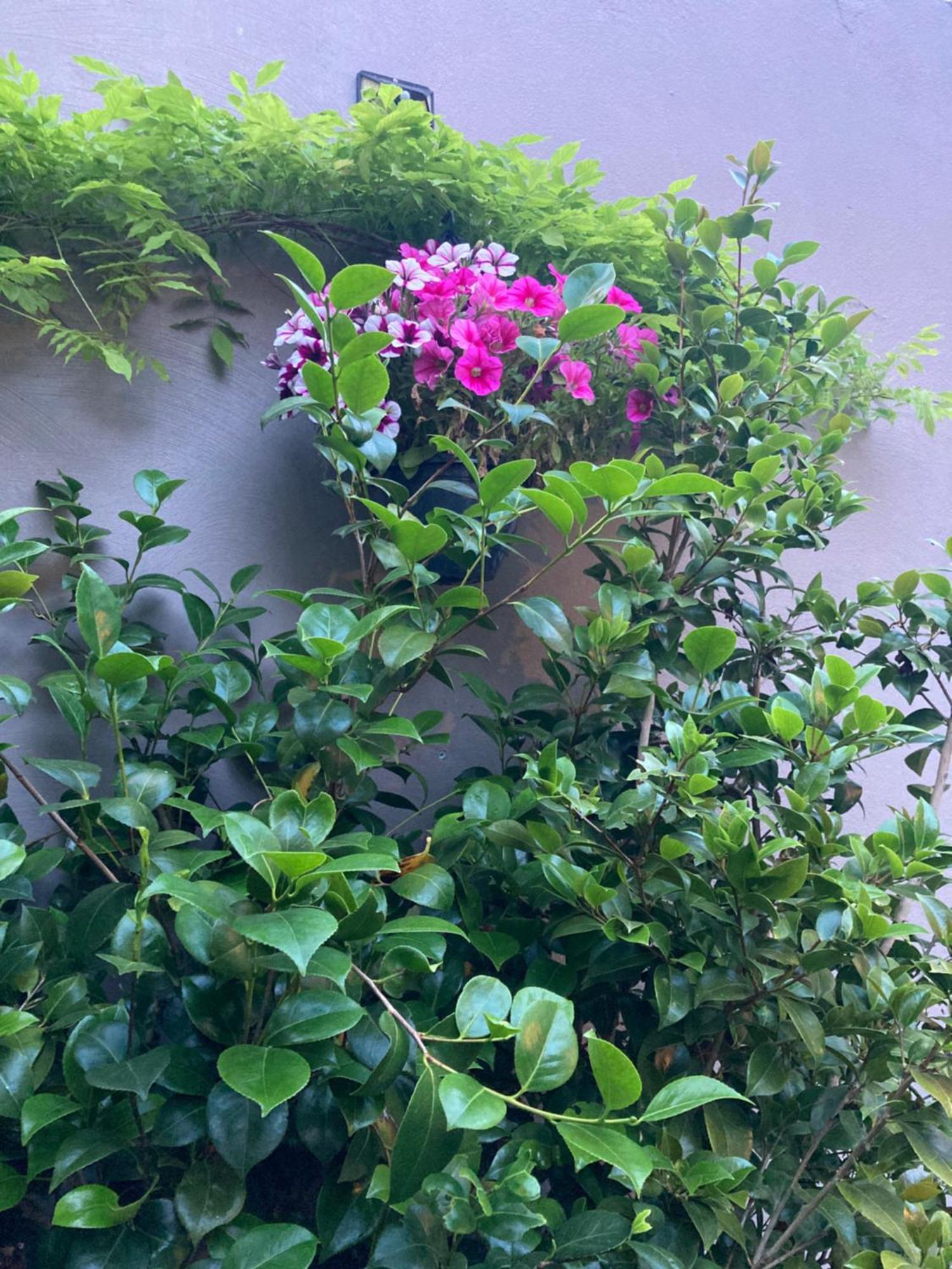 דירות זבנטם Chez Roya מראה חיצוני תמונה